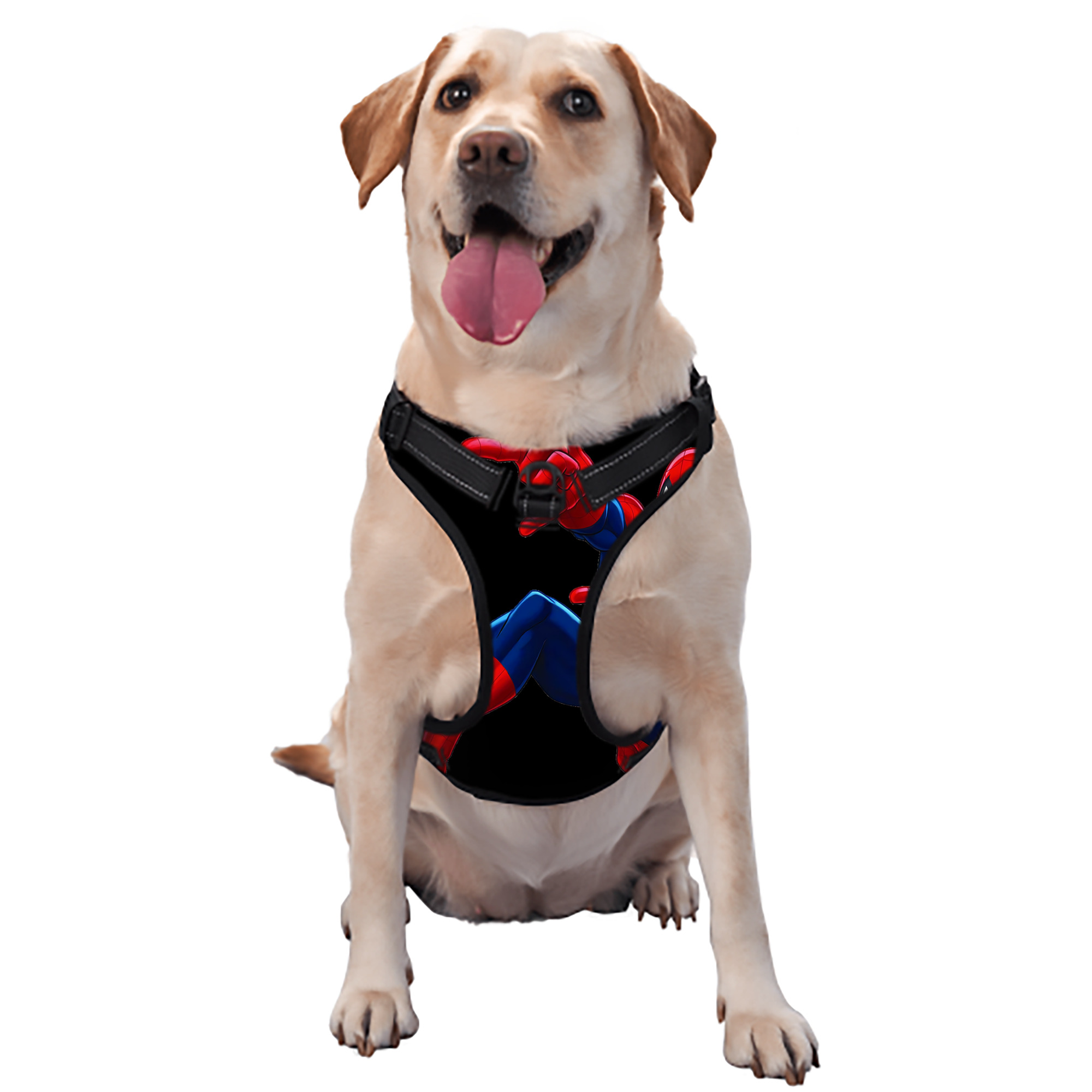 （画像用） Spider Man スパイダーマン ペット用ハーネス